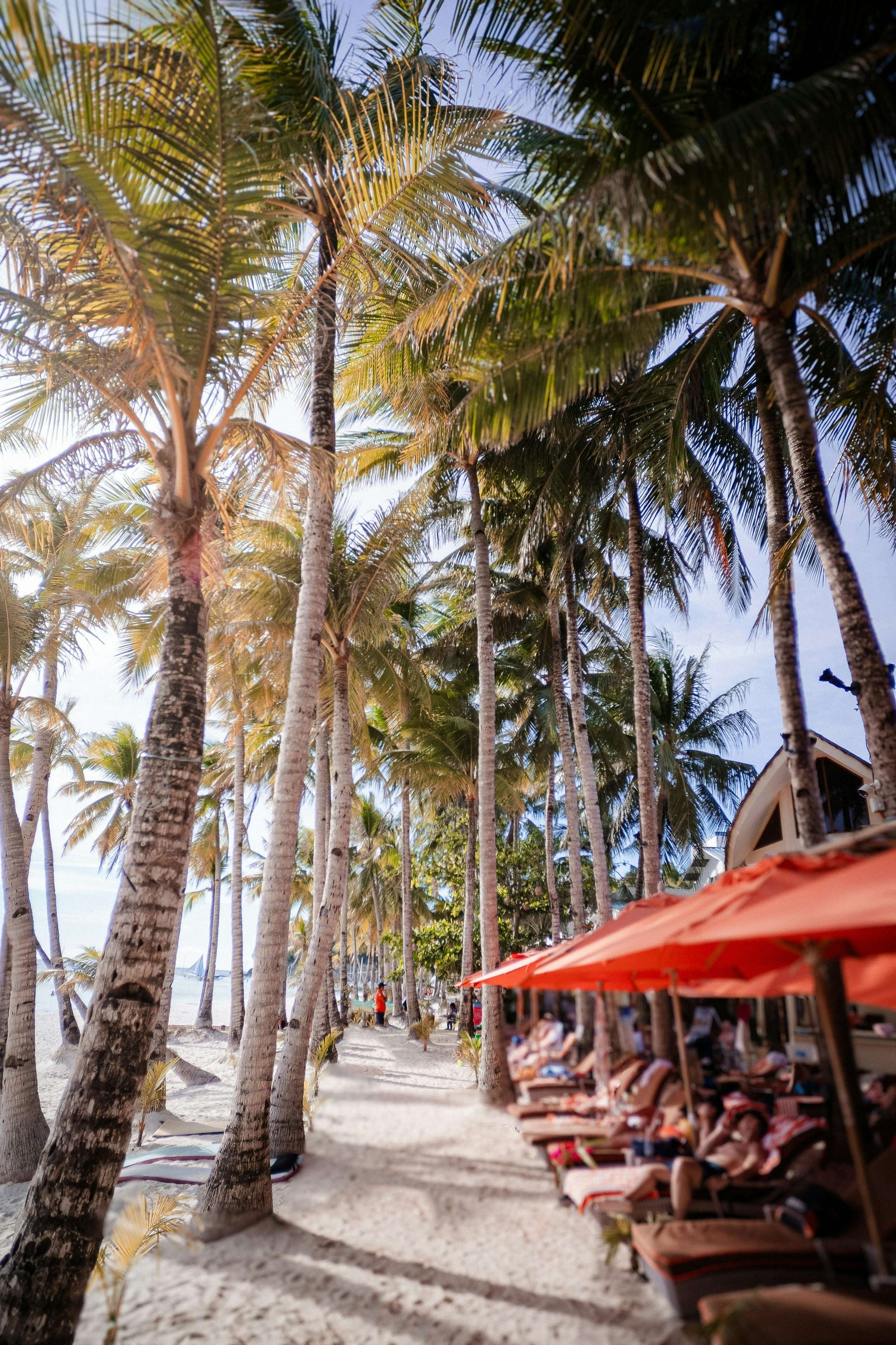 Diniwid Cliff Bars in Boracay, Philippines