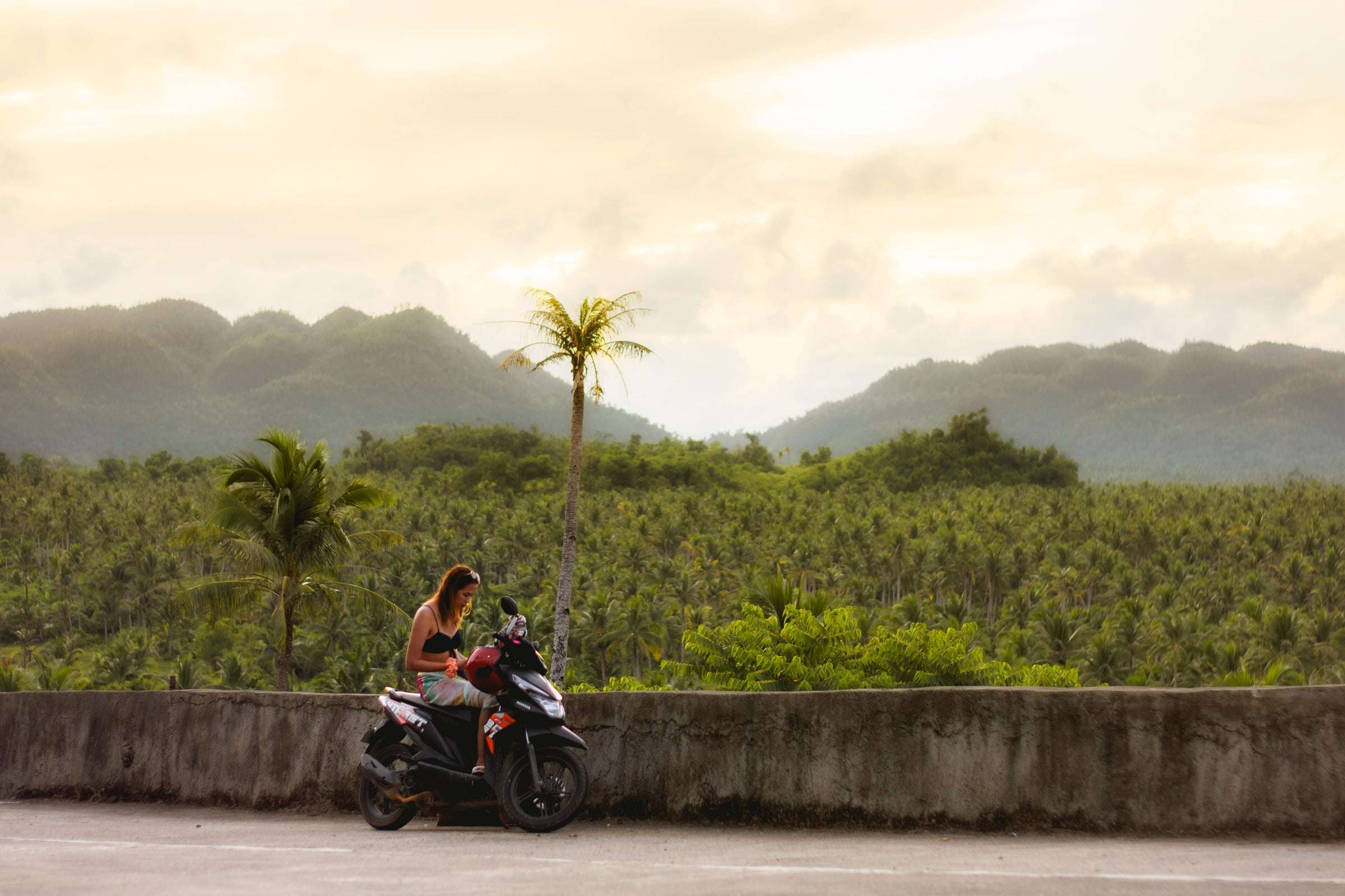 Endless coconut palms stretching to the hills from the Coconut Trees View Deck, Siargao