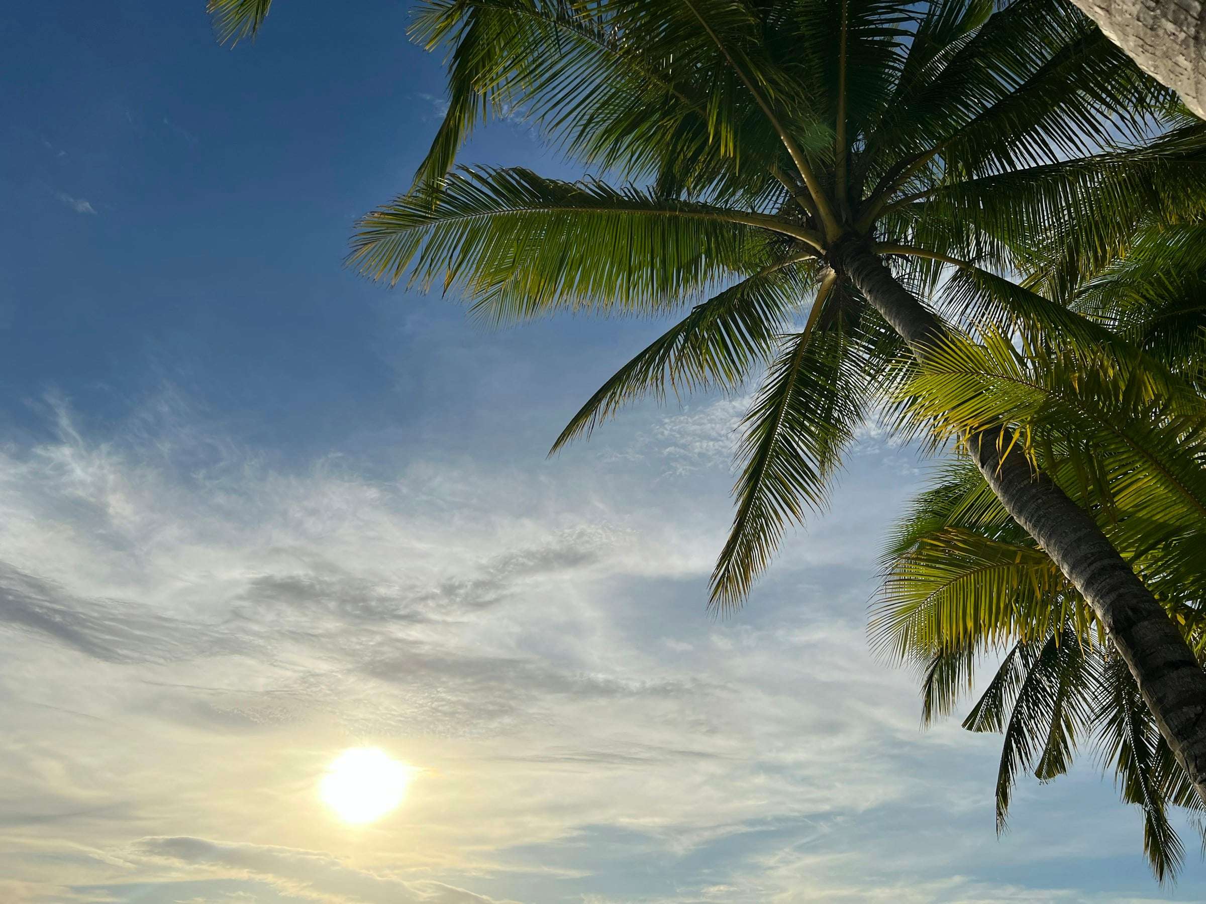 Where to Stay in Boracay: Station 1, 2, 3 & Bulabog (2026)