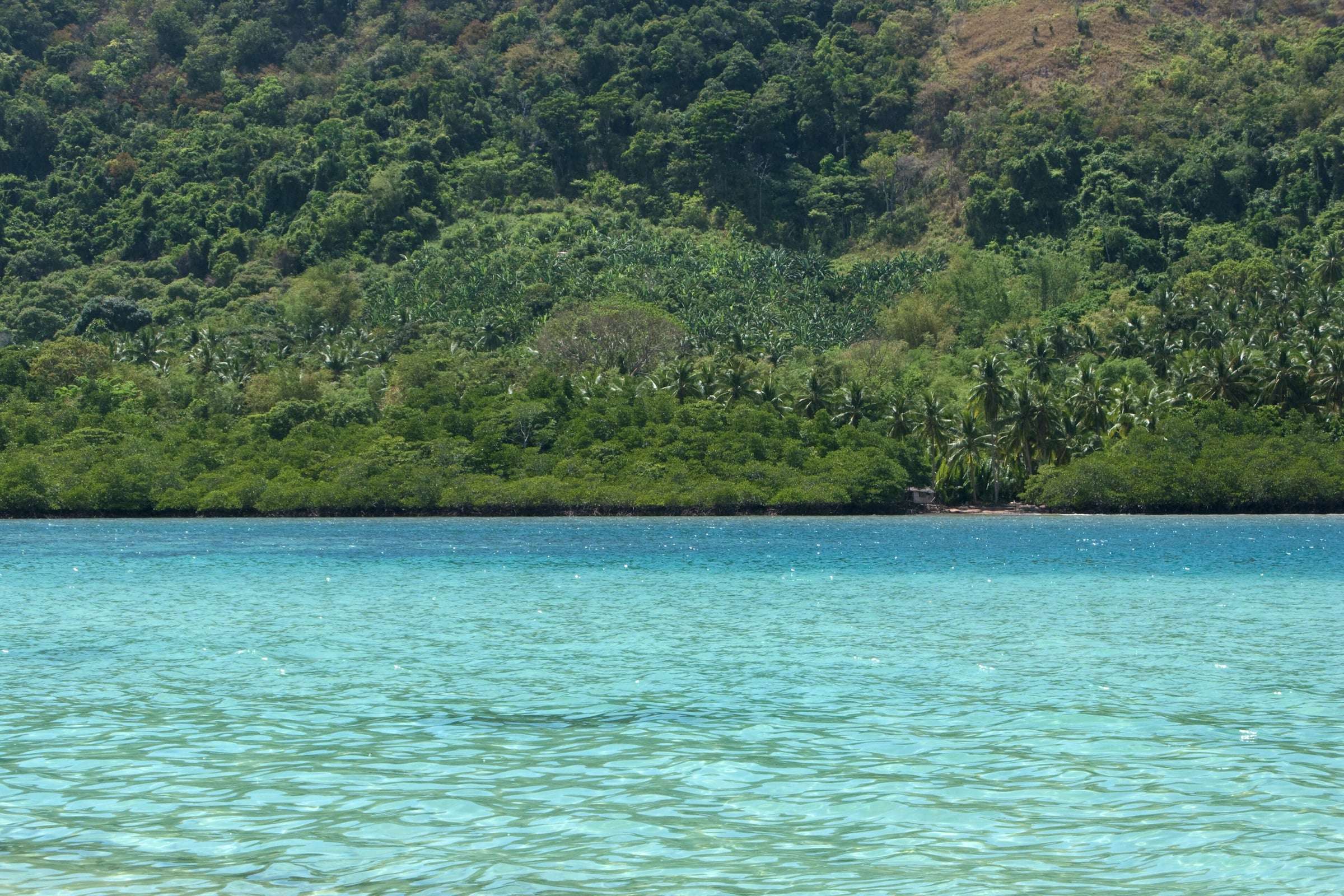 How to Get to El Nido from Manila: Flights, Vans & Ferries (2026)