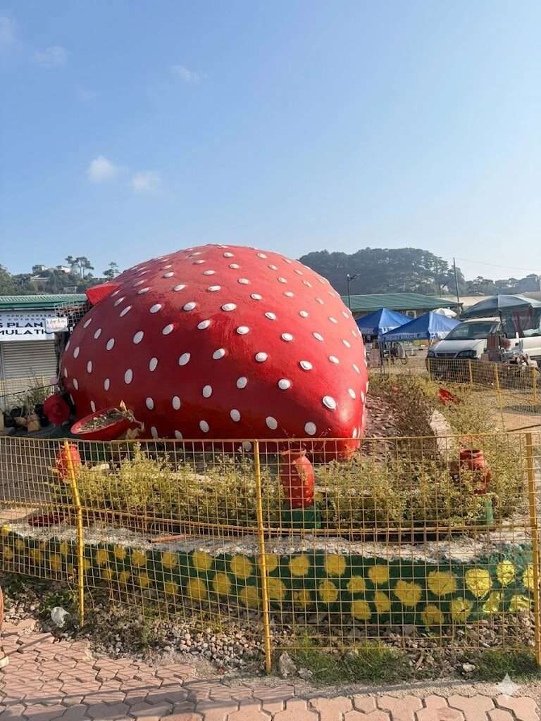 Giant red strawberry monument with white polka dots at La Trinidad Strawberry Farm near Baguio